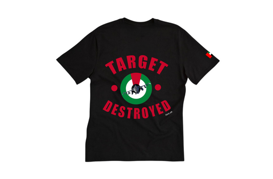 Shirt | Target destroyed